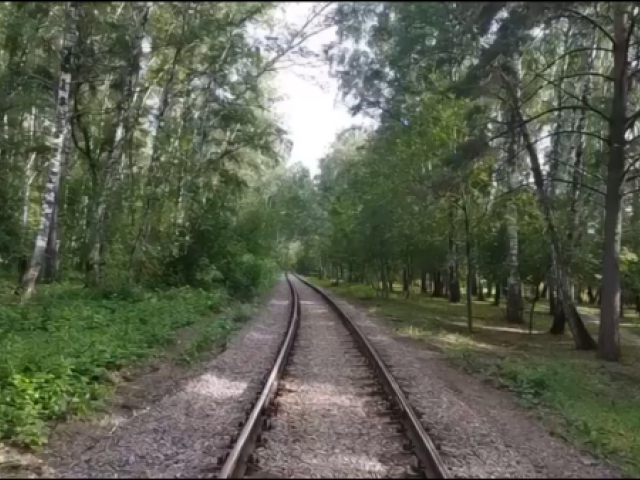 Сельская пионерская.